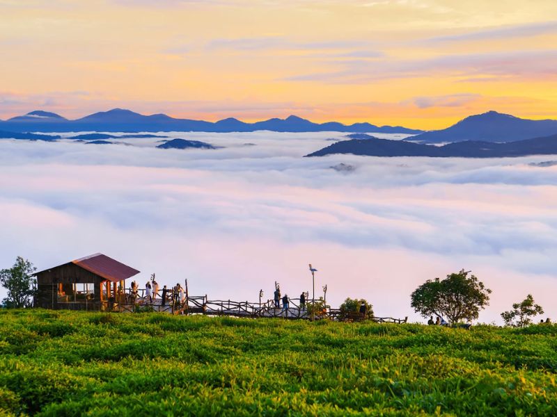 Cầu Đất Farm
