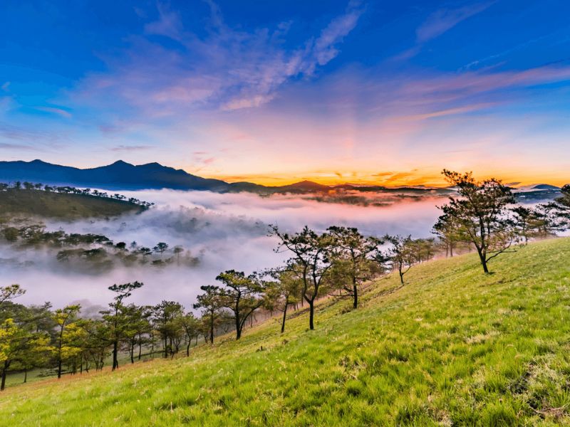 Địa Điểm Tham Quan Đà Lạt