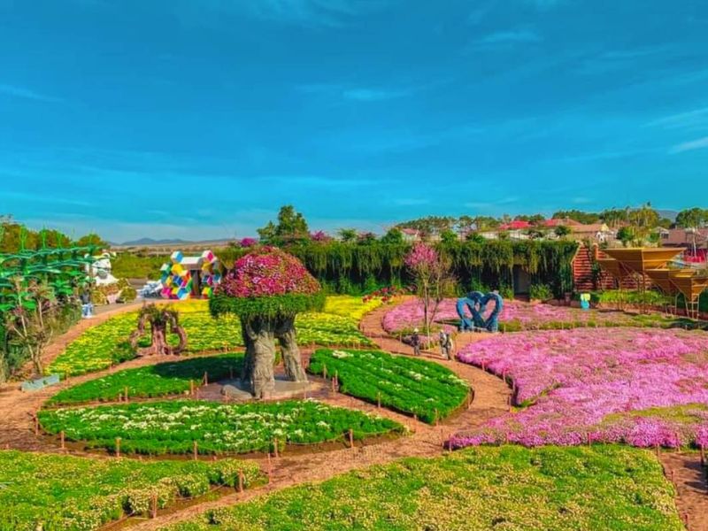 Kinh Nghiệm Du Lịch Đà Lạt Cho Gia Đình