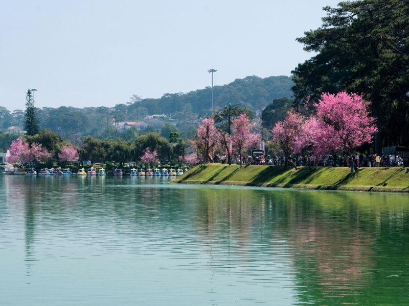 Hồ Xuân Hương
