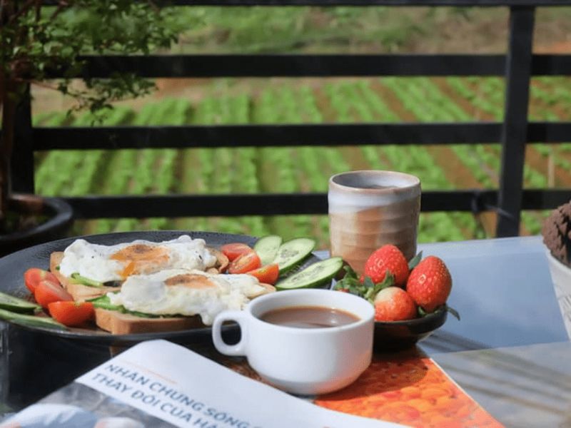 Green Box Coffee Farm