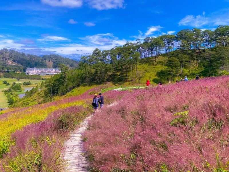 Thời Tiết Đà Lạt Tháng 12