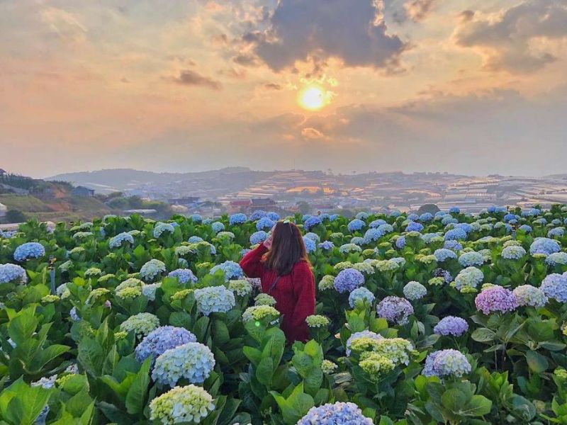 Du Lịch Đà Lạt Tháng 6