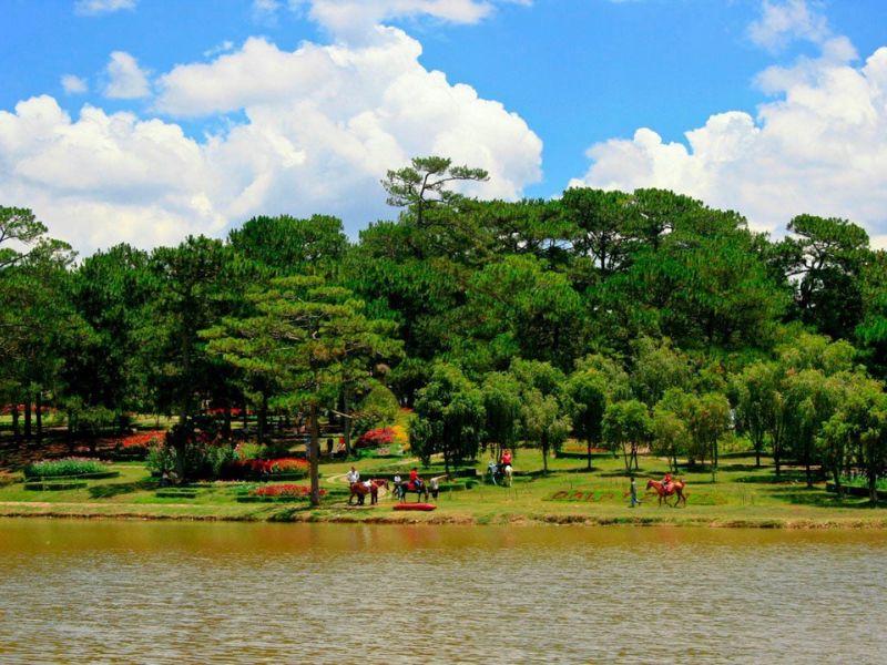 Đồi Thông Hai Mộ