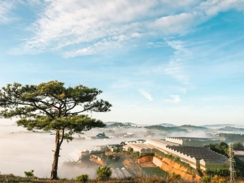 Đồi Thiên Phúc Đức